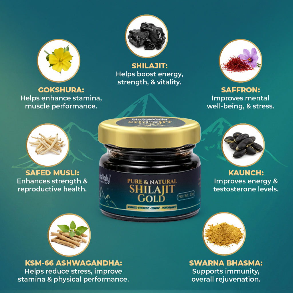NutroVally Gold Shilajit/Shilajeet Resin – Pure Himalayan Shilajit for Energy, Strength & Stamina - 20g