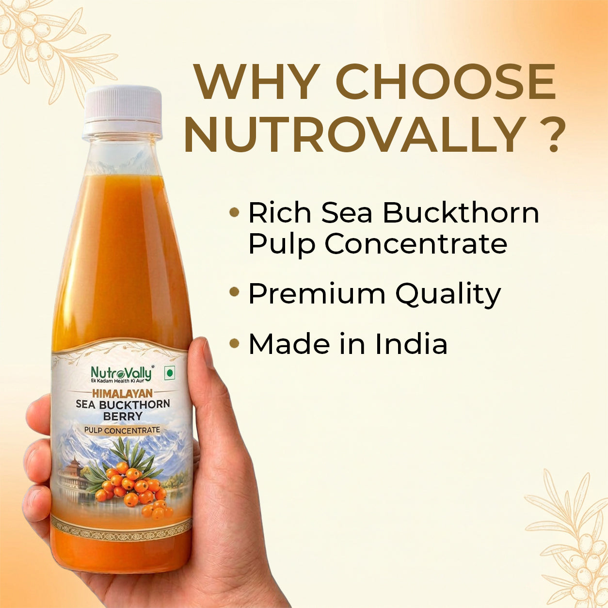 NutroVally Sea Buckthorn – Natural Vitamin C Rich Superfood for Immunity & Skin Health