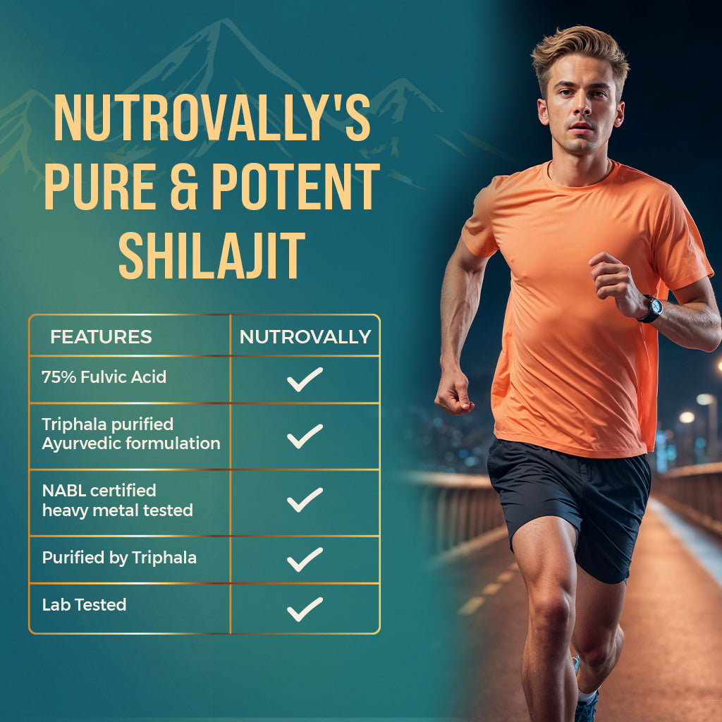 NutroVally Gold Shilajit/Shilajeet Resin – Pure Himalayan Shilajit for Energy, Strength & Stamina - 20g
