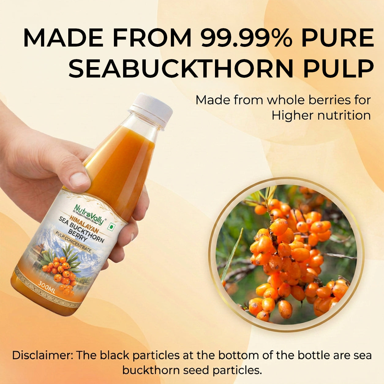 NutroVally Sea Buckthorn – Natural Vitamin C Rich Superfood for Immunity & Skin Health
