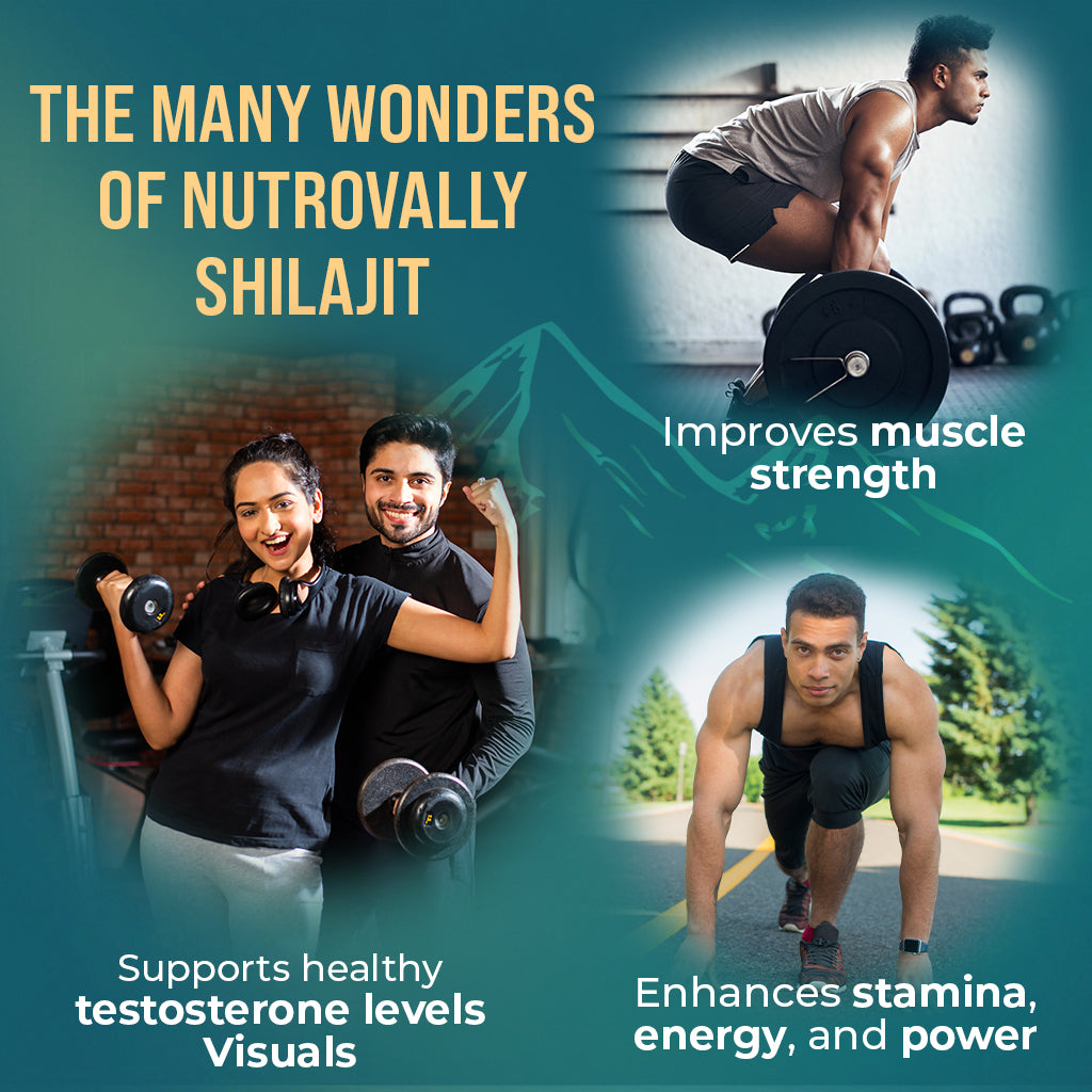 NutroVally Gold Shilajit/Shilajeet Resin – Pure Himalayan Shilajit for Energy, Strength & Stamina - 20g