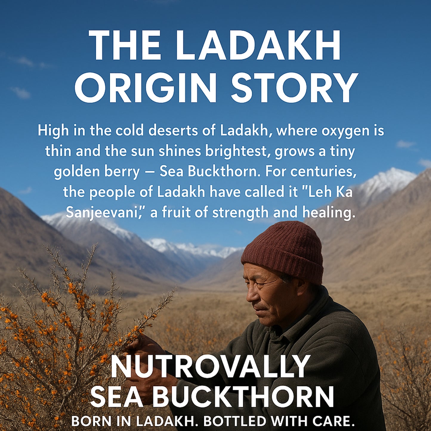 NutroVally Sea Buckthorn – Natural Vitamin C Rich Superfood for Immunity & Skin Health