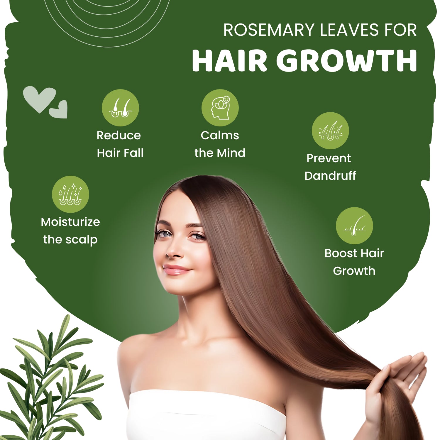 Rosemary_leaves_hair_growth