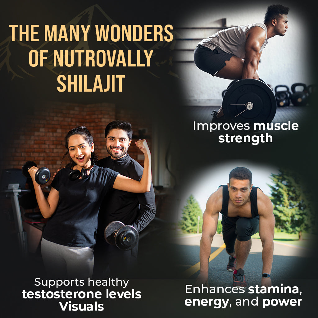 NutroVally Original Himalayan Shilajit/Shilajeet Resin- 20g